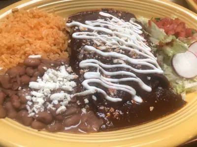 Traditional Enchiladas